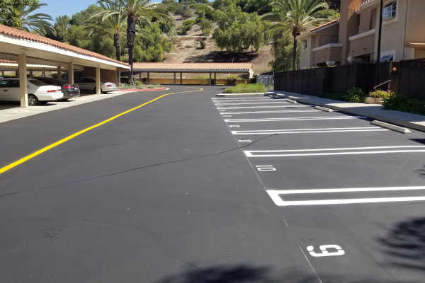 Commercial Parking lot freshly striped